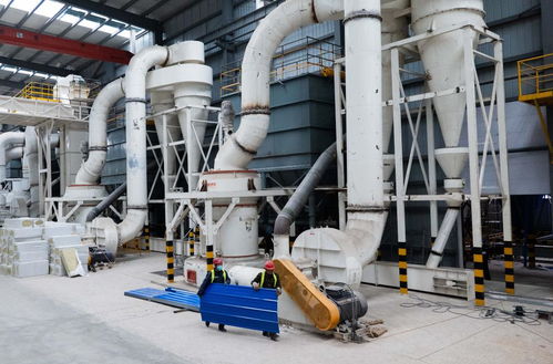 它經(jīng)濟(jì) 觀察 中國(guó)貓砂展現(xiàn) 科技范 綠色風(fēng)